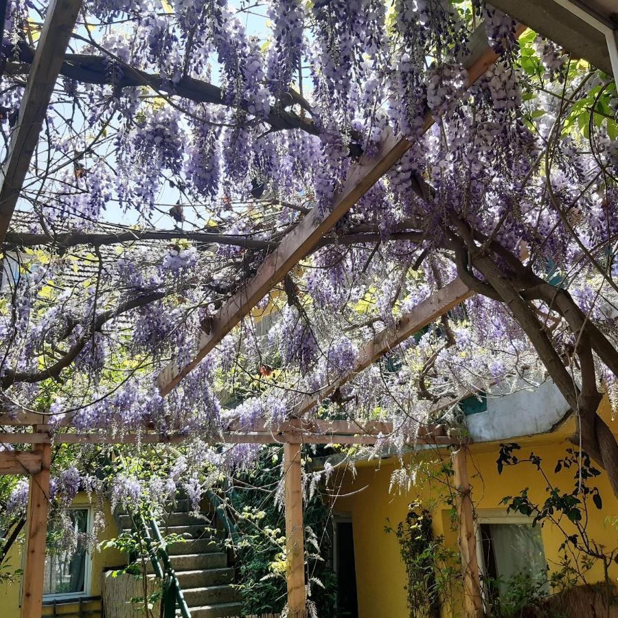 Studio In Altstadthaus Sankt Veit an der Glan Εξωτερικό φωτογραφία